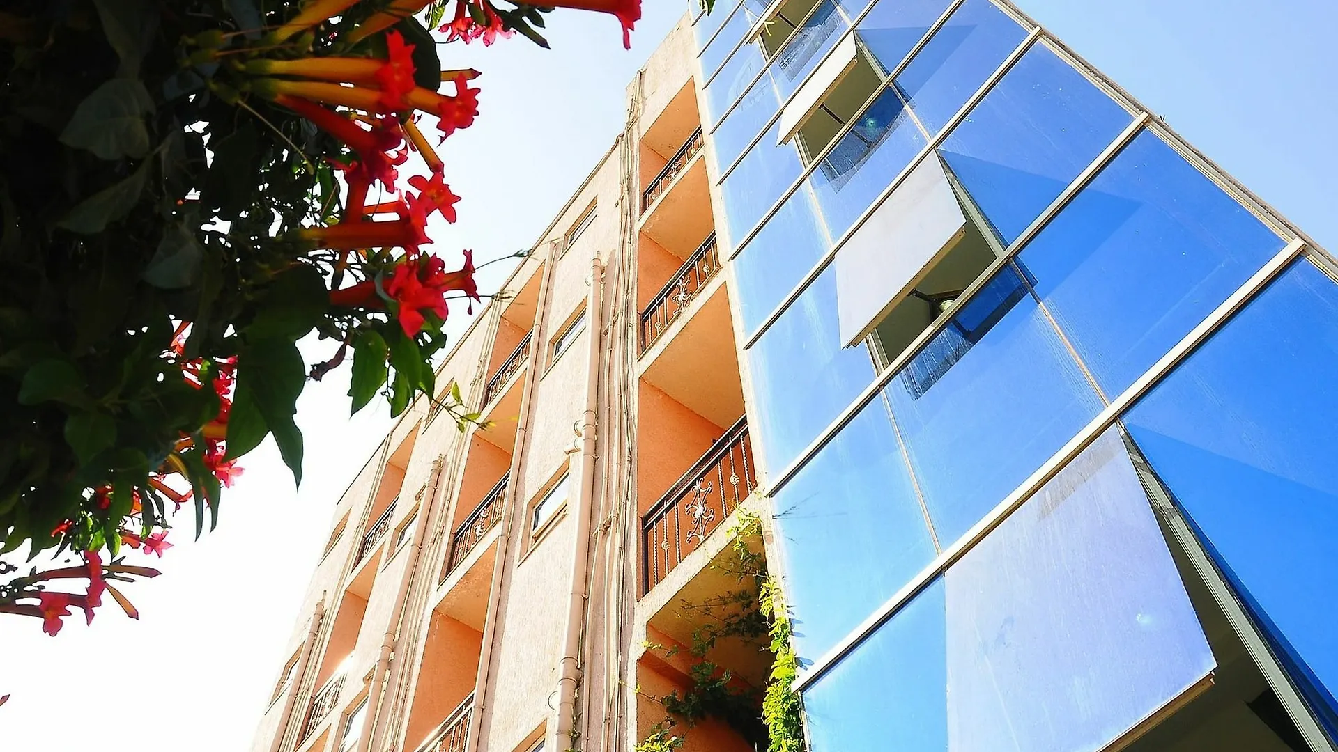 Otel Mm Apartment Guest House Lege T'afo